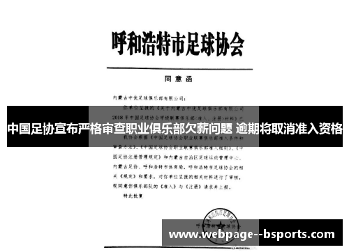 中国足协宣布严格审查职业俱乐部欠薪问题 逾期将取消准入资格 中国足协宣布严格审查职业俱乐部欠薪问题 逾期将取消准入资格