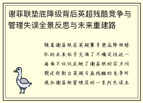 谢菲联垫底降级背后英超残酷竞争与管理失误全景反思与未来重建路 谢菲联垫底降级背后英超残酷竞争与管理失误全景反思与未来重建路